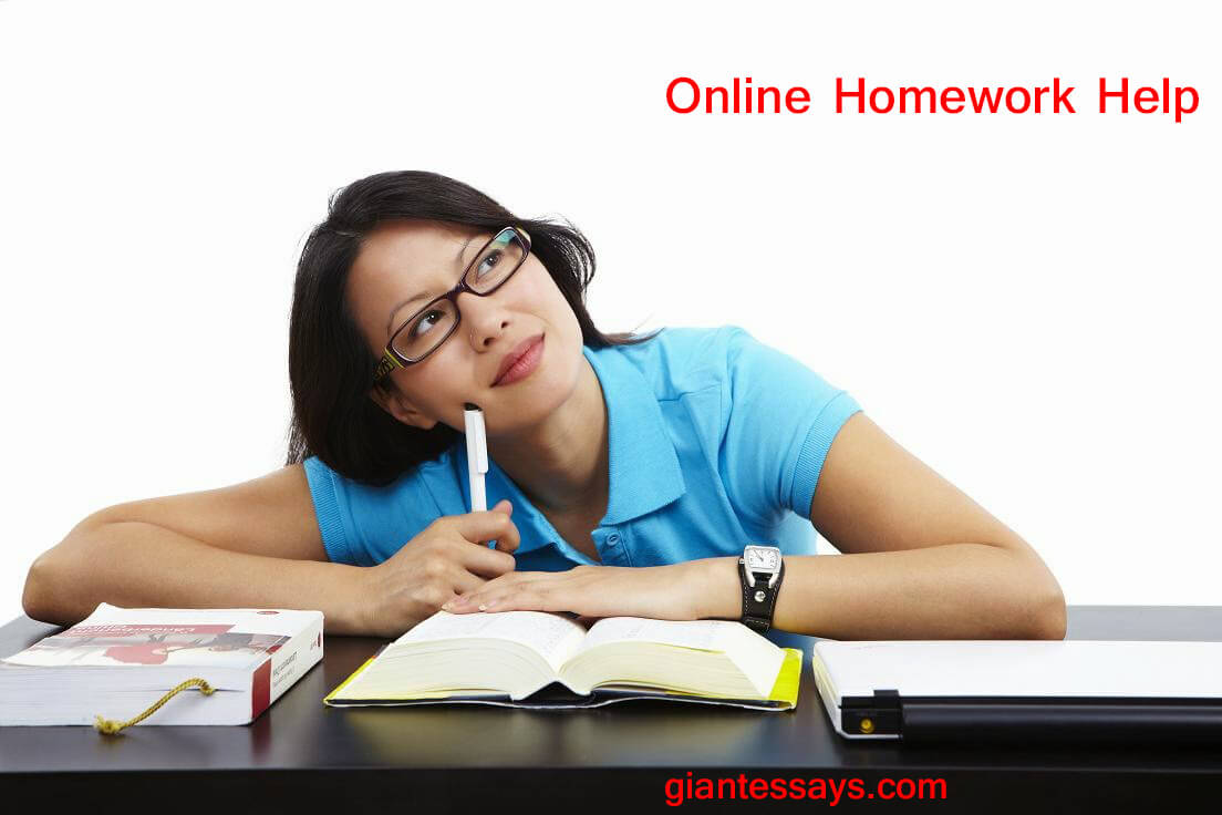 University homework helper
