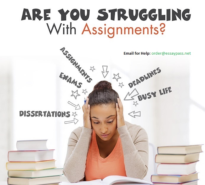 Write your Assignment/Essay 