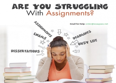 Write your Assignment/Essay 