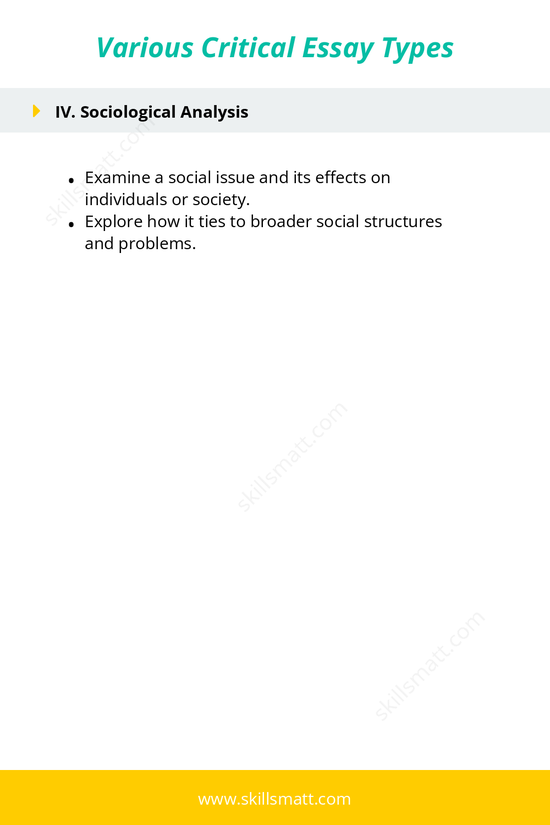 Outline of critical essay types with concise breakdowns for each approach._Image 2