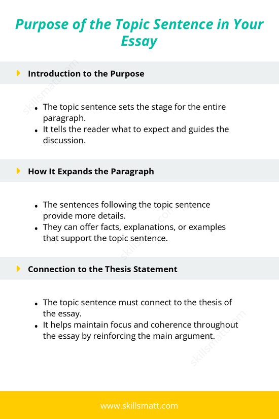 Understand the role of a topic sentence and how it connects the paragraph to your overall essay argument.