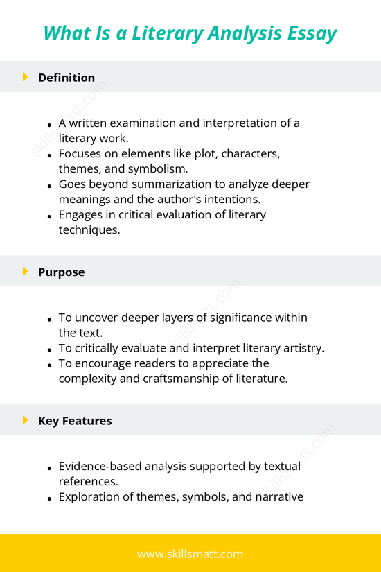 Overview of what a literary analysis essay entails and its purpose._Image 1